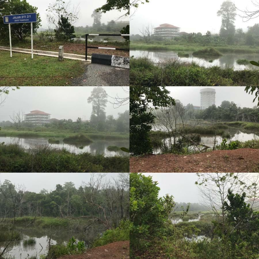 Patin Guest House @Desa Telok Ira, Temerloh Pahang Kampong Paya Kerinau المظهر الخارجي الصورة