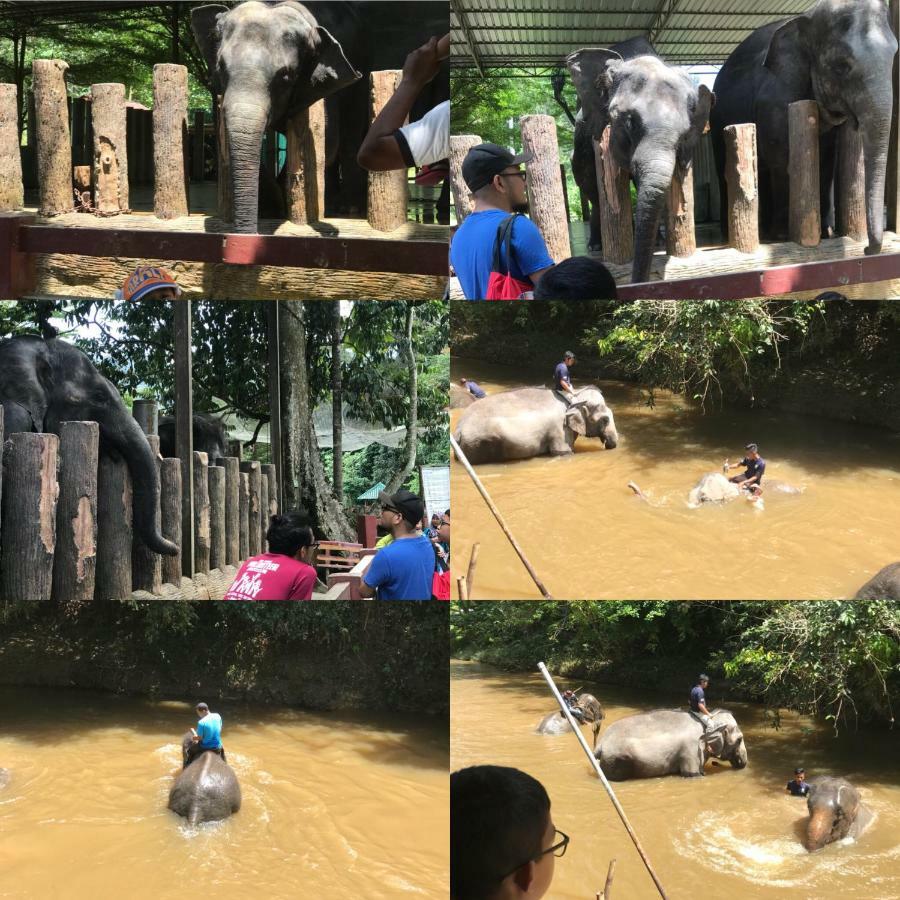 Patin Guest House @Desa Telok Ira, Temerloh Pahang Kampong Paya Kerinau المظهر الخارجي الصورة